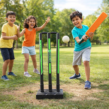 Professional cricket stump set