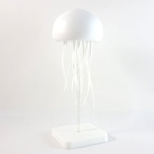 Colorful LED lamp decor        
